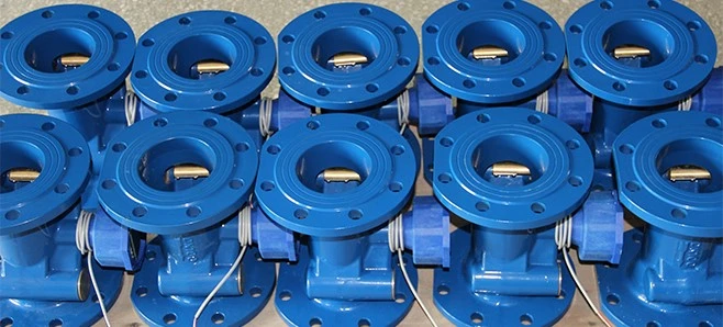 woltman water meter