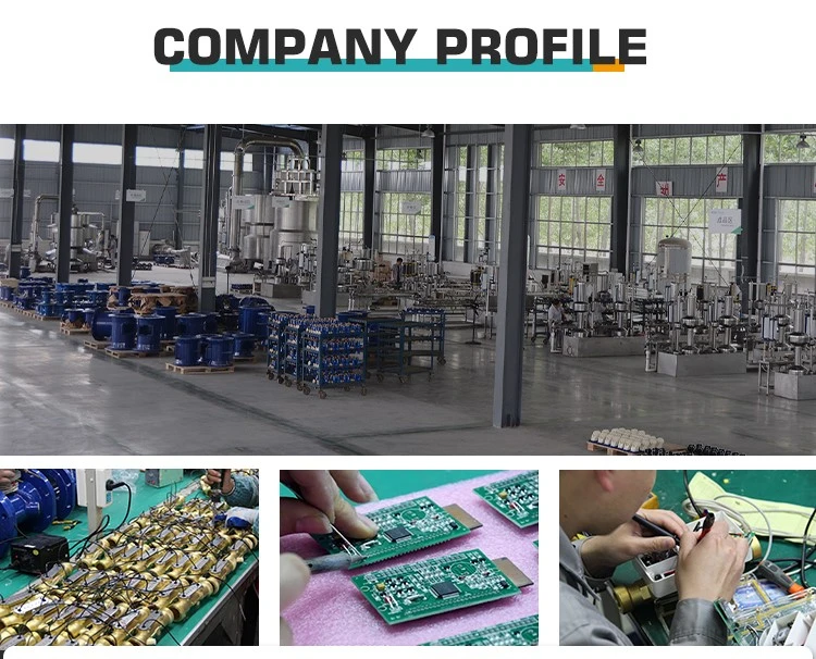 8ultrasonic water meter company profile 8ultrasonic water meter company profile